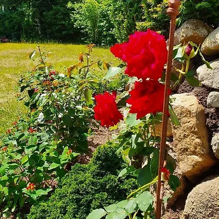 Top-bewertete Komfort-ferienwohnung Mit Sonnenterrasse In Der Lueneburger Heide *